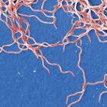 téléchargement (3)