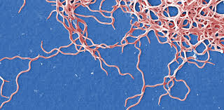 téléchargement (3)