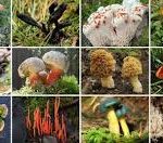 téléchargement (4)